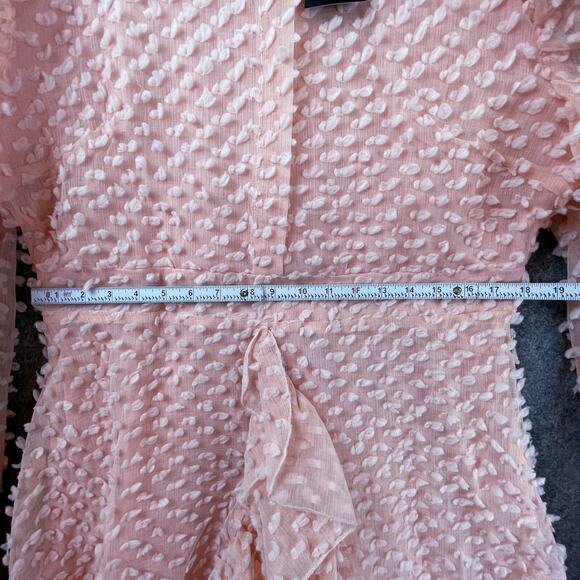 Miss Ord Dress 3XL Pink Lantern Sleeve Ruffle Textured Flounce Romantic Girly - Picture 4 of 7